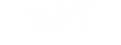 Trusted partner